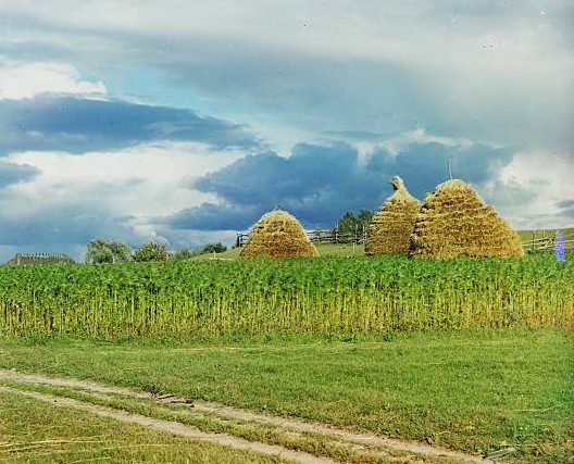 haystacks -- Sergei Mikhailovich Prokudin-Gorskii at the Library of Congress